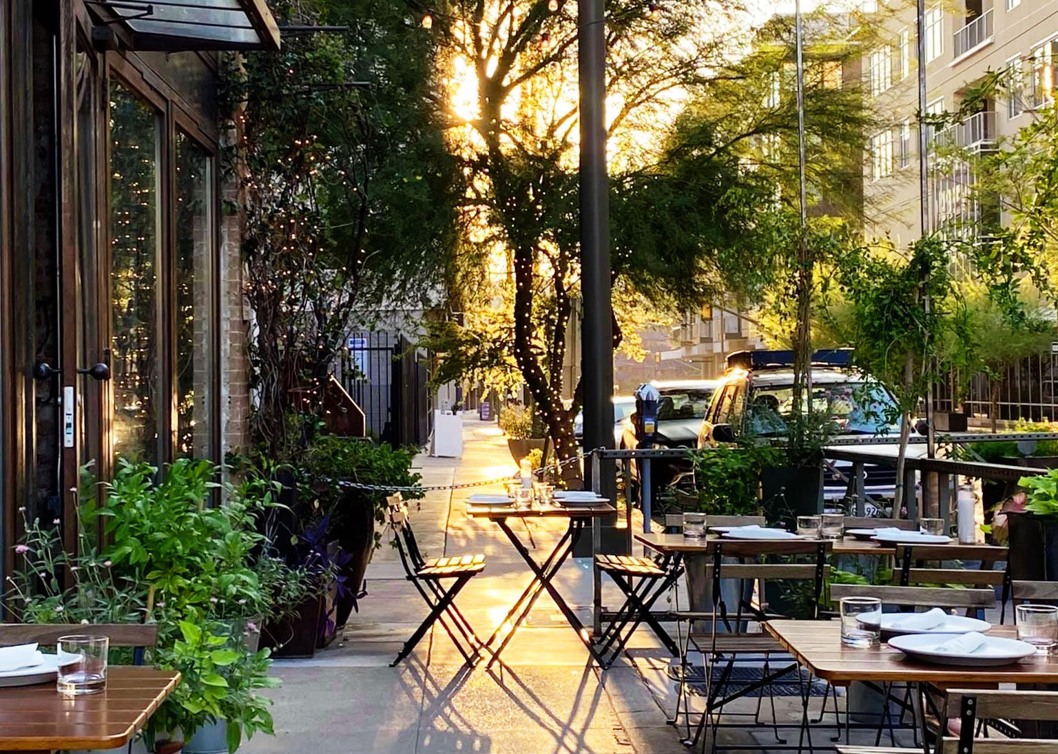Penca patio
